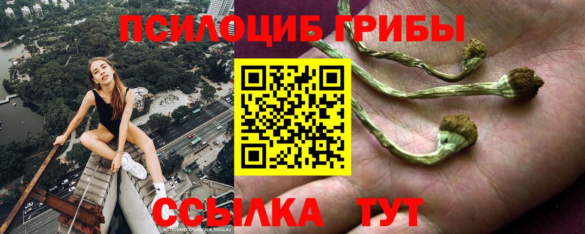 Галлюциногенные грибы мицелий Абакан
