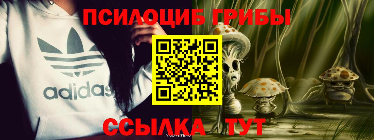 Псилоцибиновые грибы Psilocybe  Псилоцибиновые грибы Psilocybe  наркотики  Абакан  Вход с VPN 