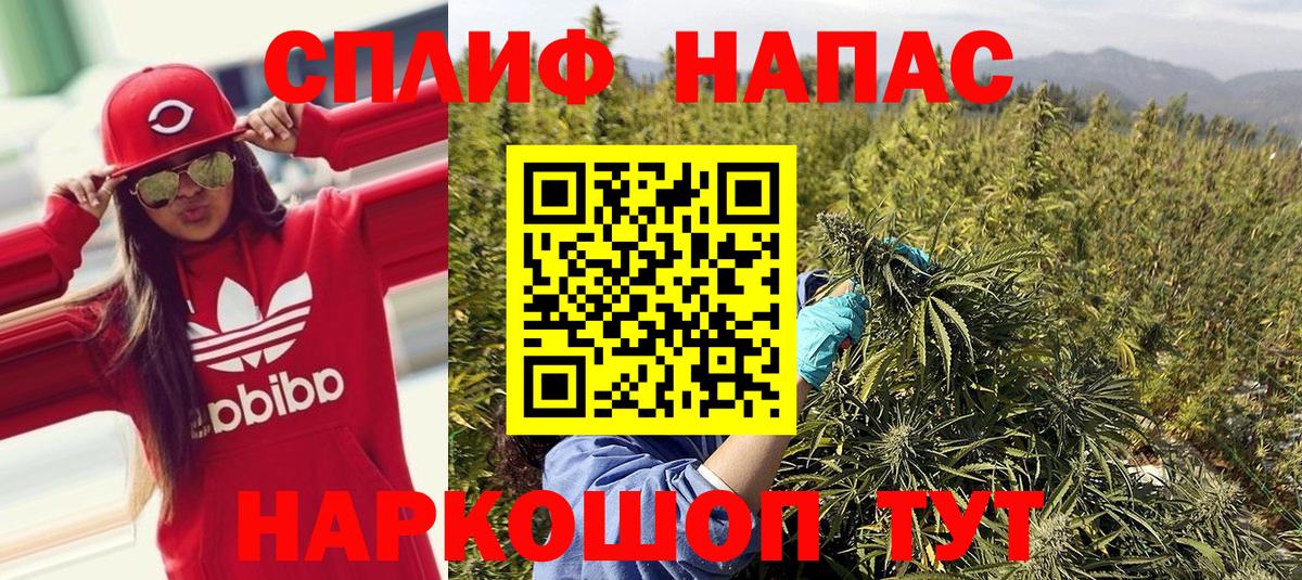 Шишки марихуана марихуана Абакан